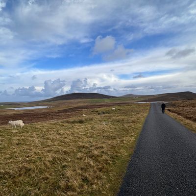 LIGHTNING IN A TWILIGHT HOUR