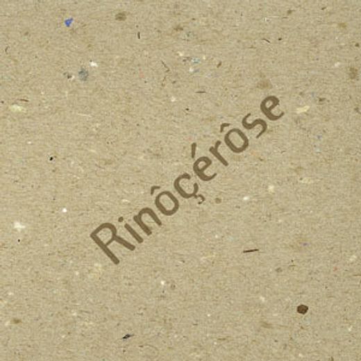 Rinôçérôse