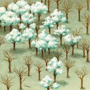 Nubes Y Claros