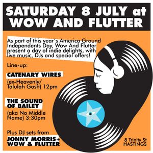 The Catenary Wires