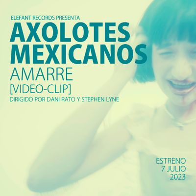AXOLOTES MEXICANOS "Amarre" Single Digital