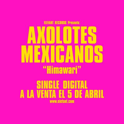 AXOLOTES MEXICANOS "Himawari" Single Digital