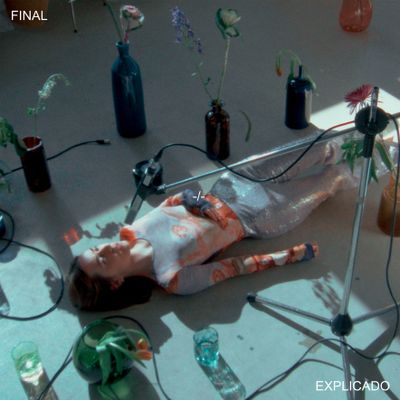 MARINITA PRECARIA "Final Explicado" Single Digital